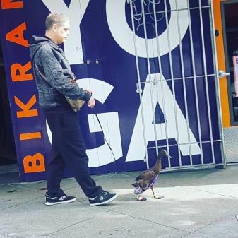 16938551_10158319066985338_6430196800559889897_n